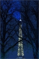 Arbres_3019 
